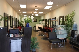 Hair By Sandra-Innovation A Salon - Culver City, CA