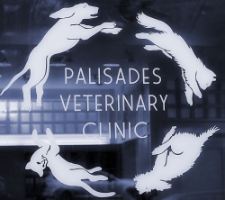 Palisades Veterinary Clinic
