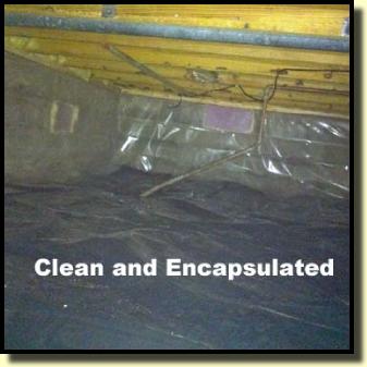 Crawlspace Remediation Crawlspace Remediation