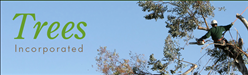 Trees Incorporated Logo