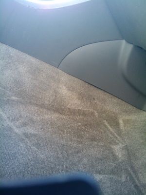 Praise Cleaning Services Photo