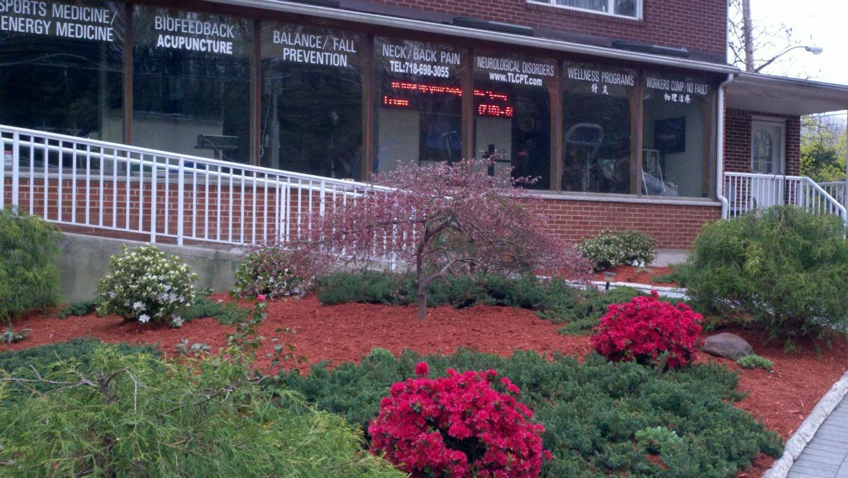 acuphysio acupuncture and physical therapy Photo