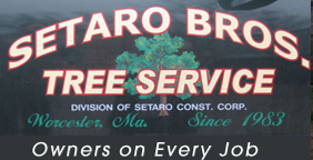 Setaro Bros Tree Service & Construction Logo