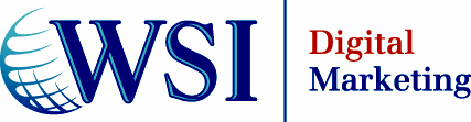 WSI Net Advantage Logo