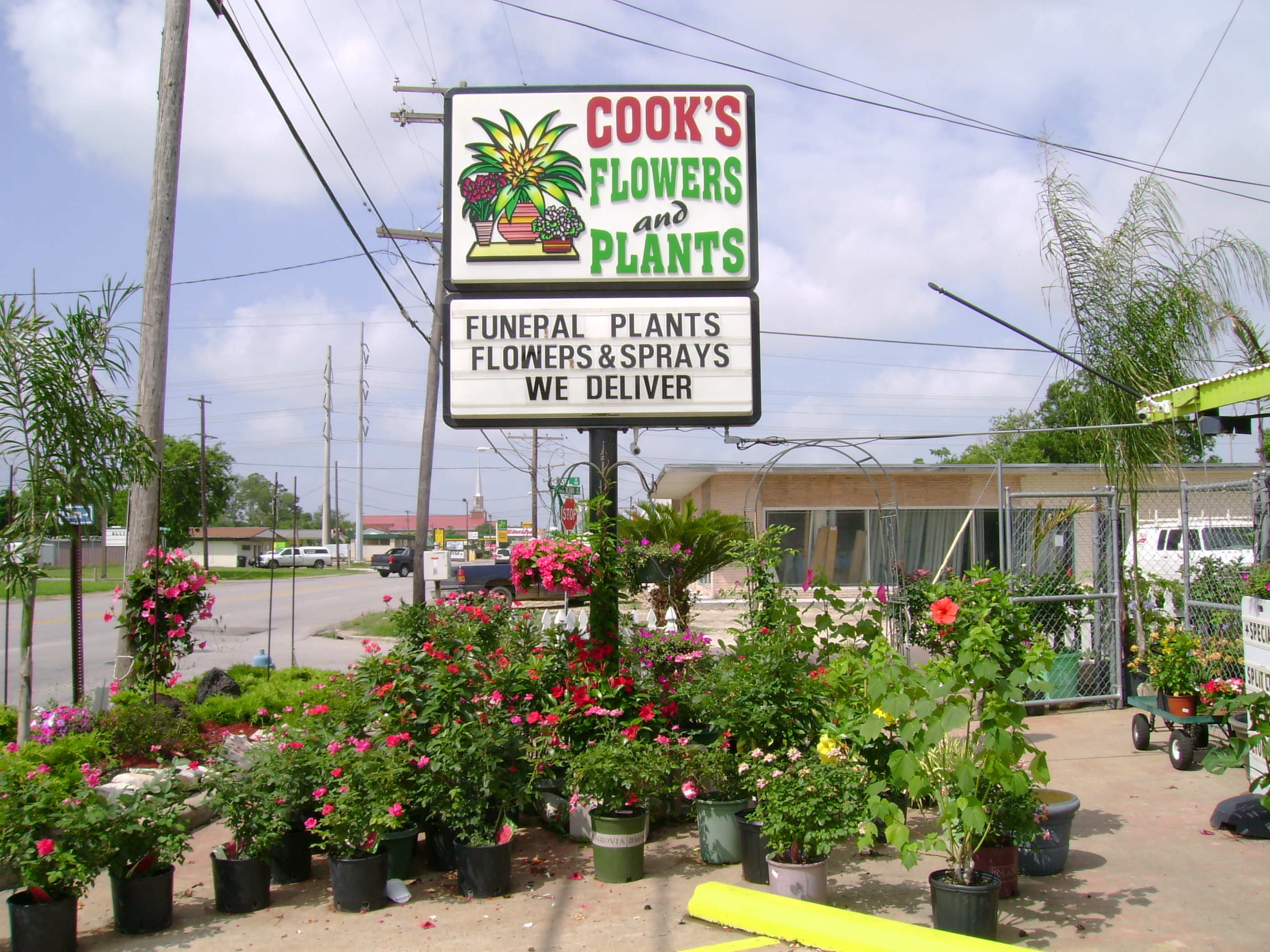 Cook's Flowers & Plants, 1424 Nederland Ave, Nederland, TX MapQuest