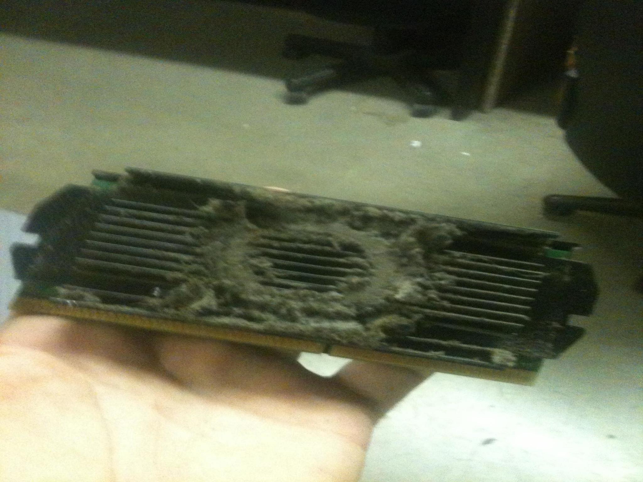 Kelen Computer Services LLC Image