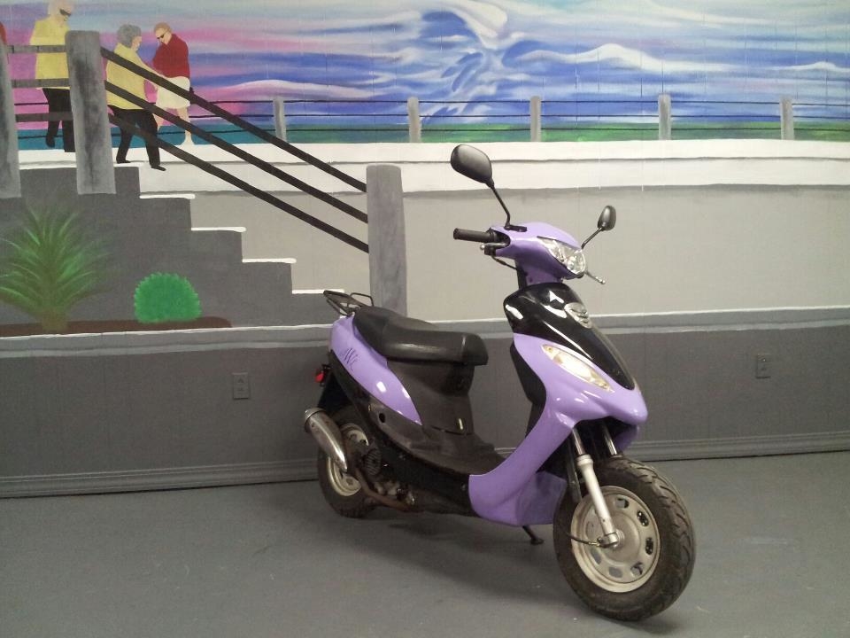 Scooter Stop of Charleston Moped Repairs, 778 Folly Rd, UNIT C