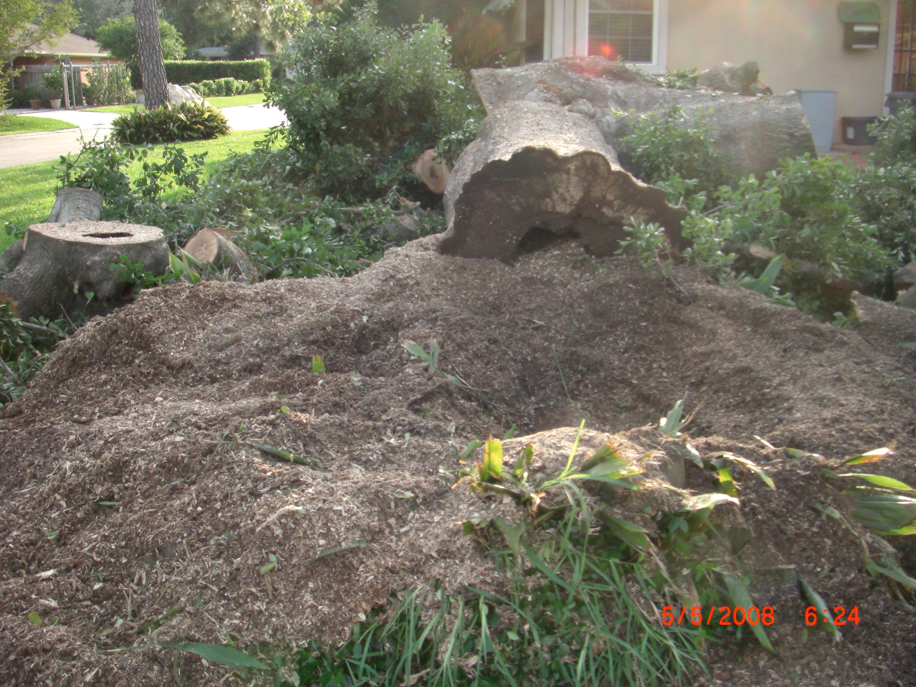 GE Tree Service Inc - Manitou Springs, CO