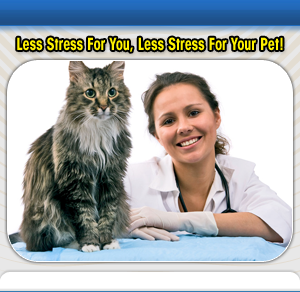 Vets in MD Baltimore 21221 Companion Care Mobile Vet 7214 Golden Ring Rd (410)671-5827