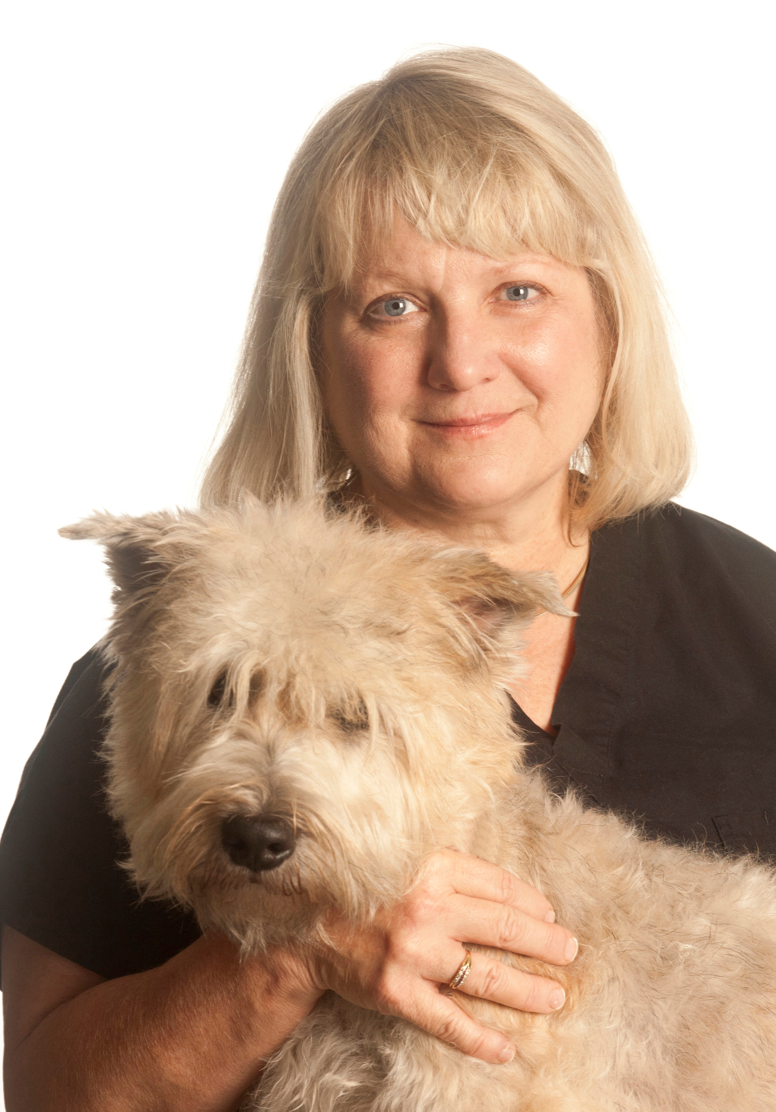 Lake Alfred Animal Hospital