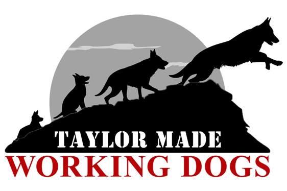 Taylor Made Working Dogs