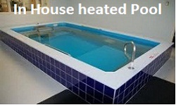 Austin Physical Therapy Specialists Photo