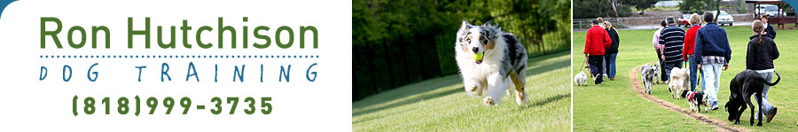 Ron Hutchison Dog Training - Atascadero, CA