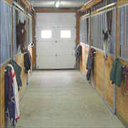 Images Canterbury Stables