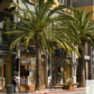 Western Property Group Western Property Group