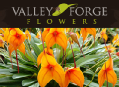 Valley Forge Flowers - Wayne, PA