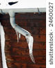 Advance Plumbing & Heating, Inc - West Hartford, CT