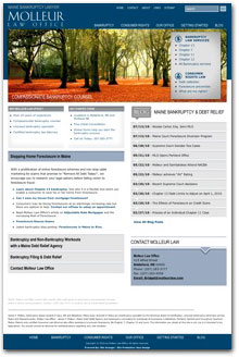 Molleur Law Website