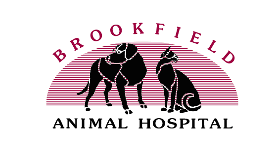 Vets in CT Brookfield 6804 Brookfield Animal Hospital 329 Federal Rd (203)744-9970