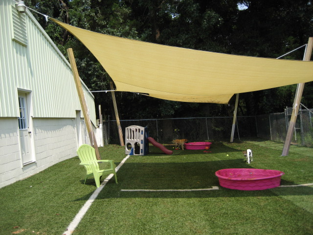 Chapel Hill Pet Resort Photo