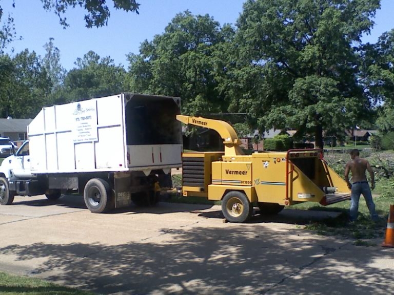 Ed's Tree Service - 