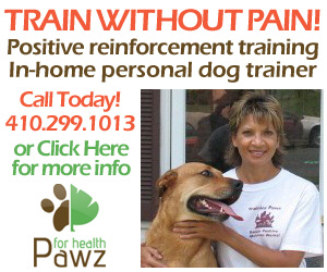 PAWZ FOR HEALTH In Home Dog Training - Severn, MD