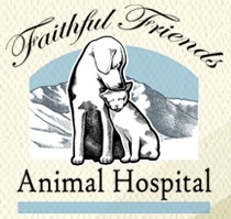 Vets in CO Colorado Springs 80917 Faithful Friends Animal Hospital 4720 Barnes Road (719)569-4412