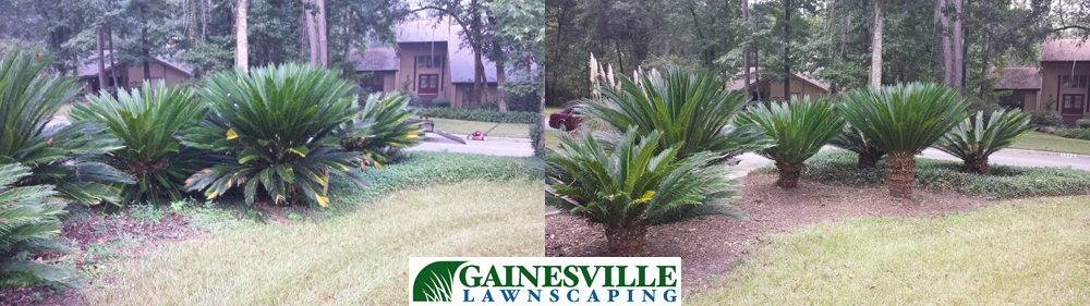 Gainesville Lawnscaping Photo