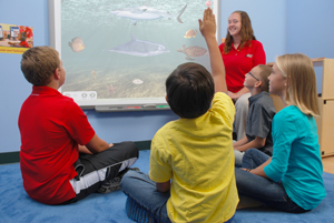 Kiddie Academy of Silver Spring Township Photo