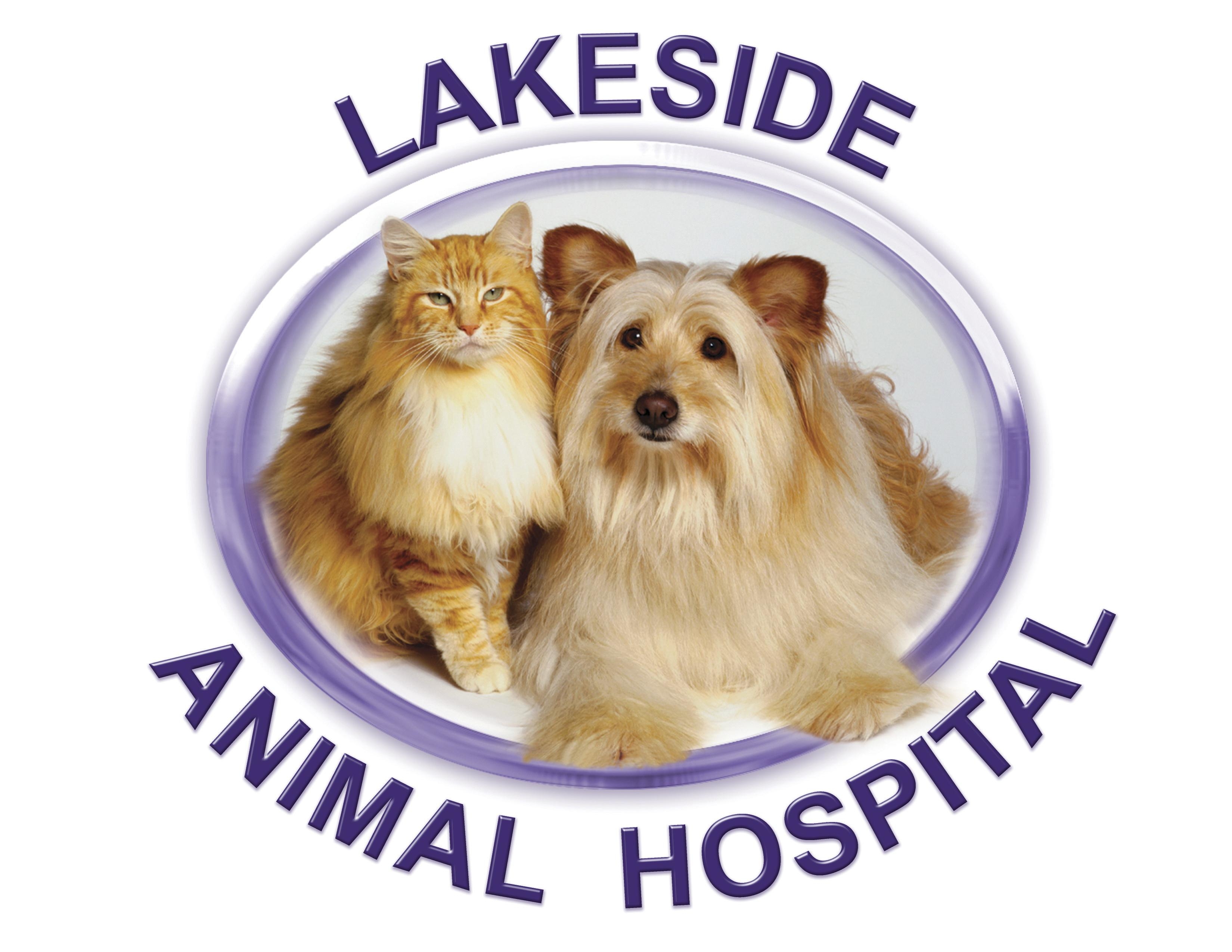 Lakeside Animal Hospital