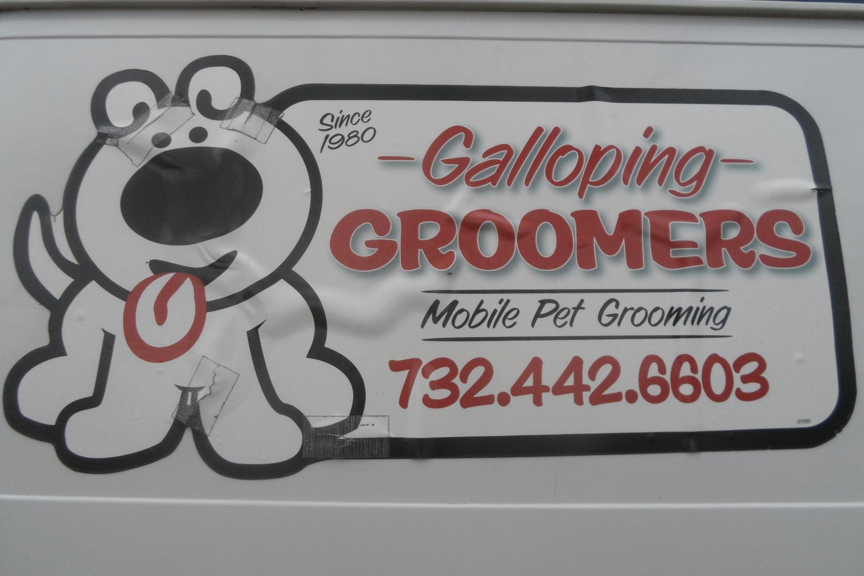 Galloping Groomers
