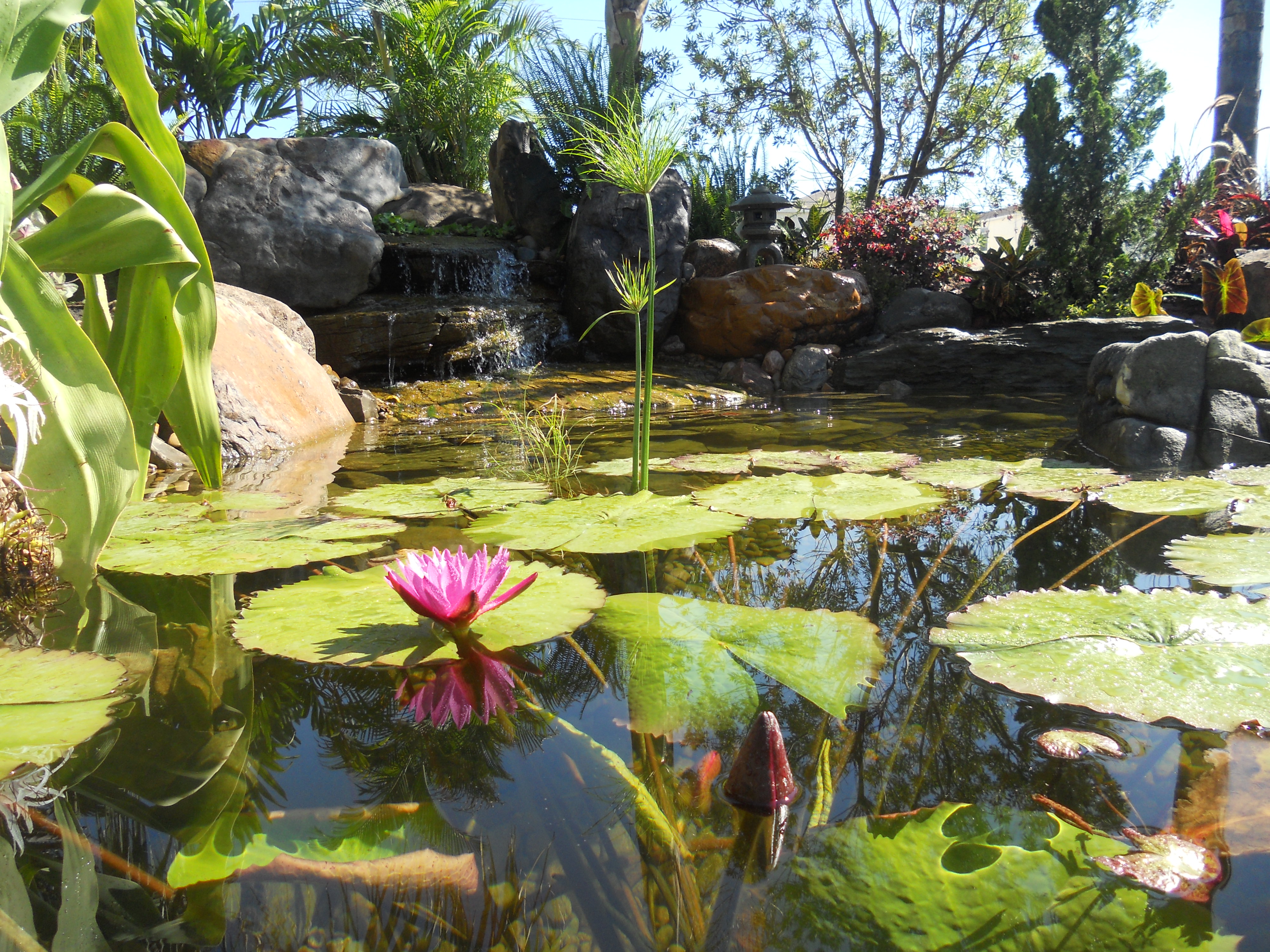 Wesley Chapel Nursery & Landscape Supply Co, 31108 State Road 54
