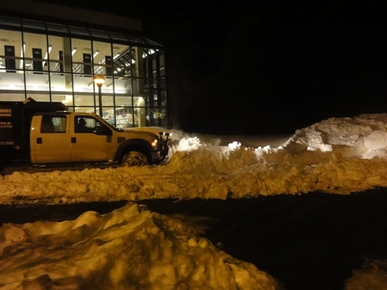 Dependable Land Maintenance & Tree Service LLC - Woodbury, NJ