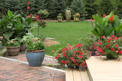 Dove Nest Bed and Breakfast - Saint Joseph, MI