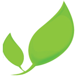 Johnson Insurance Management Llc