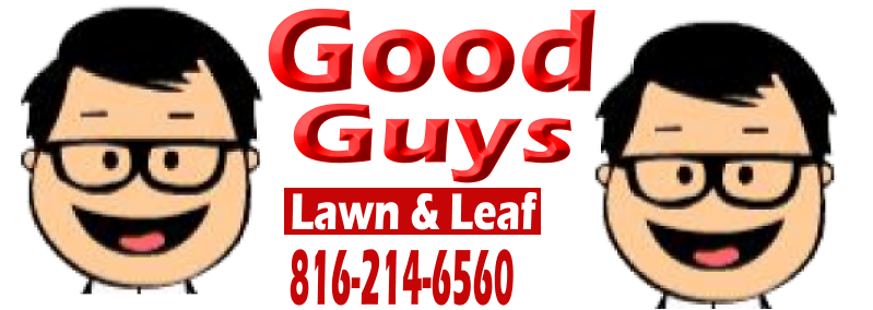 Good Guys Lawn and Leaf