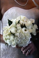 The English Florist
