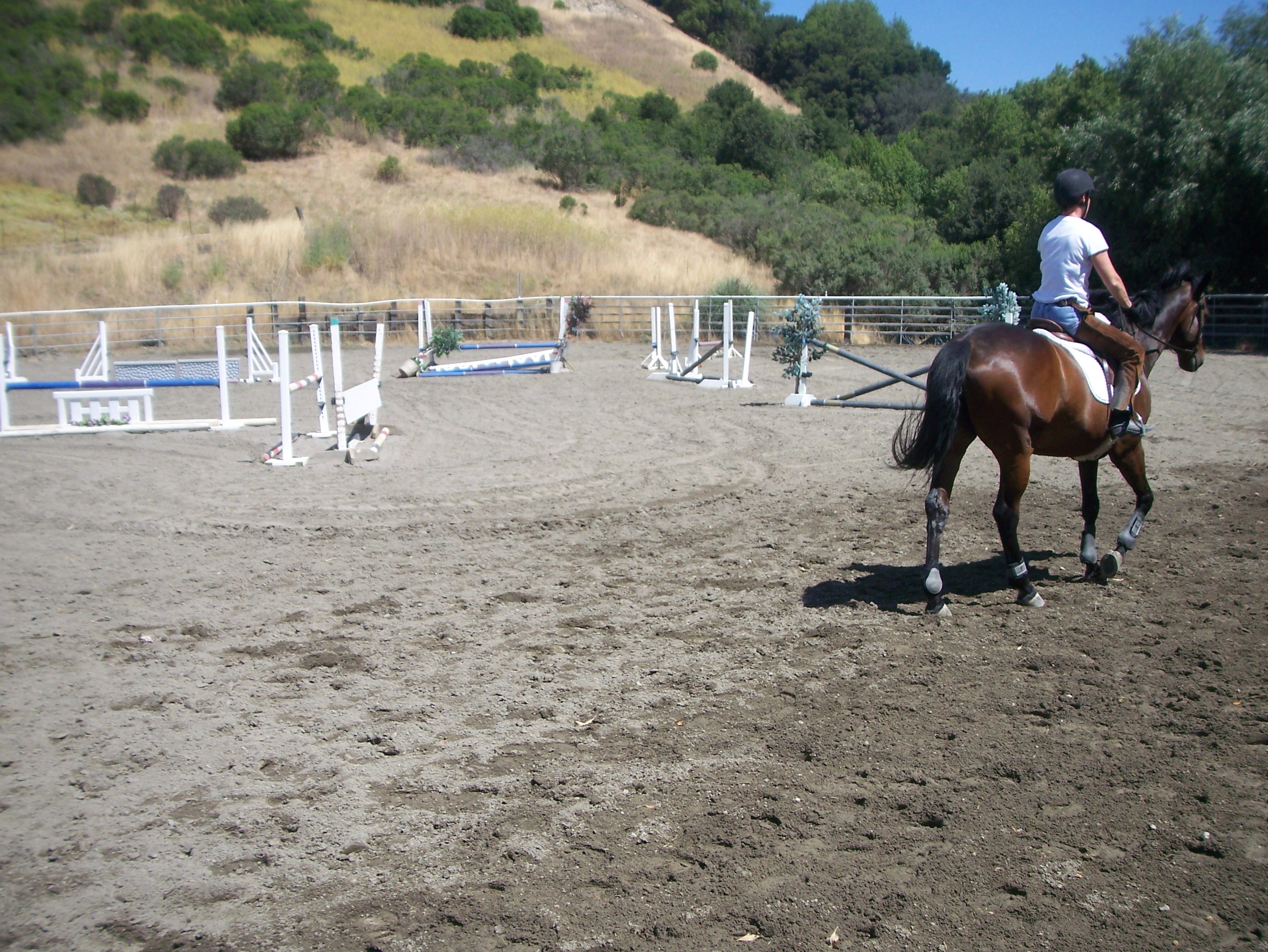 Canyon Creek Ranch - Castro Valley, CA