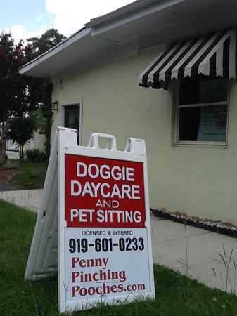 Penny Pinching Pooches