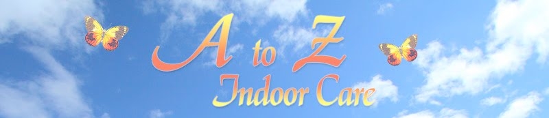 Cleaning Services in NV Las Vegas 89118 A To Z Indoor Care 5439 S. Decatur Blvd (702)329-0827