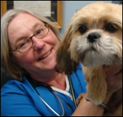 Aldie Veterinary Hospital - Chantilly, VA