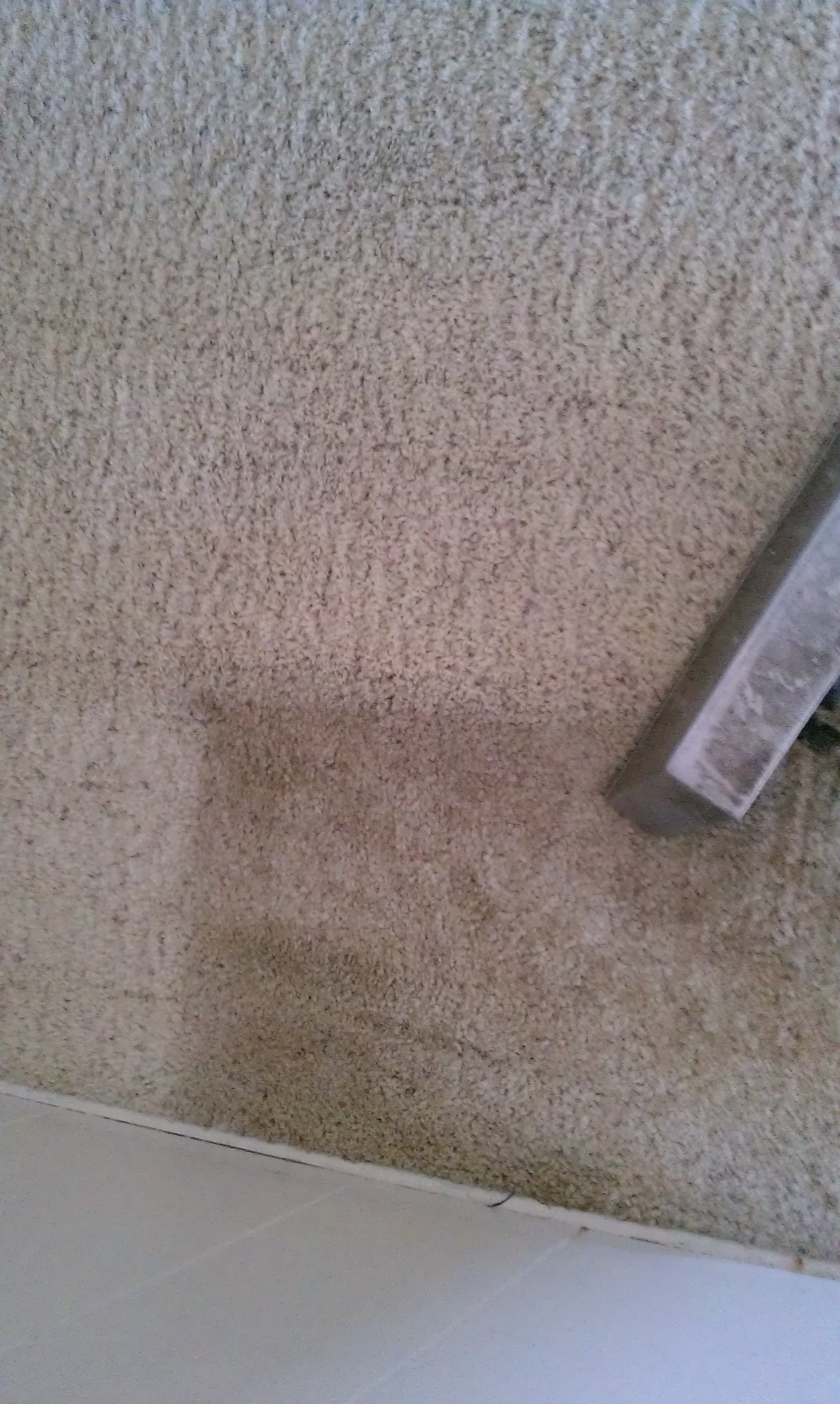 Superior Cleaning & Restoration Of Murrieta And Temecula - Temecula, CA