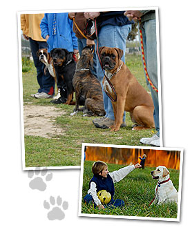 Ron Hutchison Dog Training - Atascadero, CA