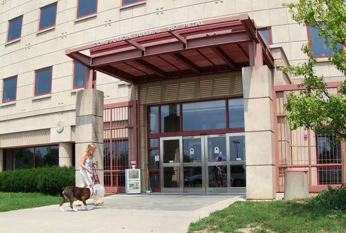 Cornell University Hospital for Animals, 930 Campus Rd, Ithaca, NY