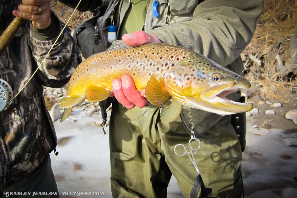 Marlow's Fly Shop, 202 E Ramshorn St, Dubois, WY MapQuest