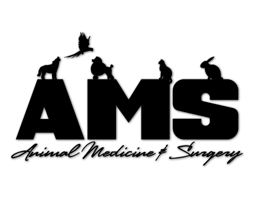 Animal Medicine and Surgery Photo