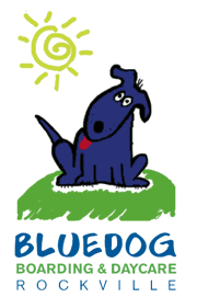 Blue Dog Boarding and Daycare Photo