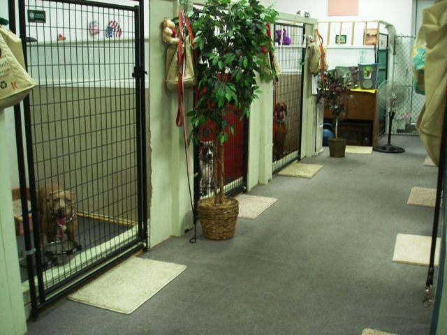 All States K-9 Detection & Dog Training - Fullerton, CA