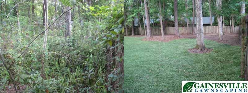 Gainesville Lawnscaping Photo