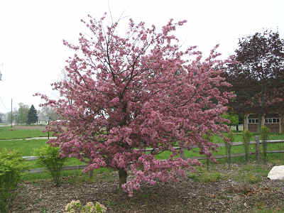 Changing Seasons Nursery - Saint Joseph, MI